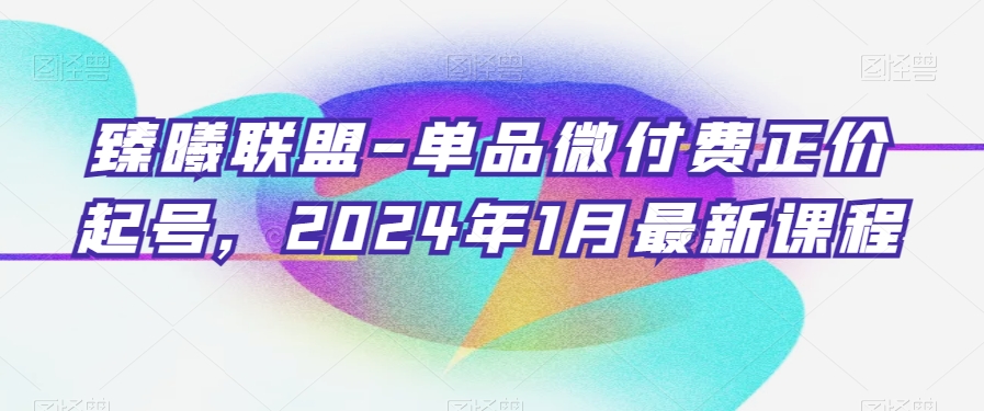 臻曦联盟-单品微付费正价起号，2024年1月最新课程-天天项目库