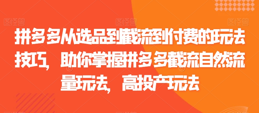 拼多多从选品到截流到付费的玩法技巧，助你掌握拼多多截流自然流量玩法，高投产玩法-天天项目库