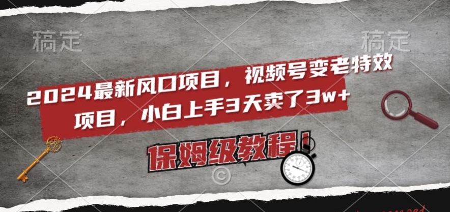 2024最新风口项目，视频号变老特效项目，电脑小白上手3天卖了3w+，保姆级教程【揭秘】-天天项目库