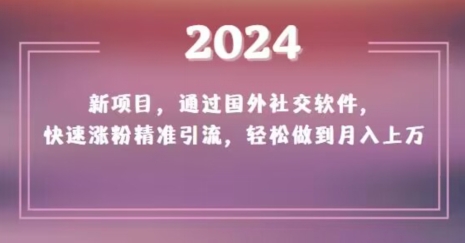 2024新项目，通过国外社交软件，快速涨粉精准引流，轻松做到月入上万【揭秘】-天天项目库