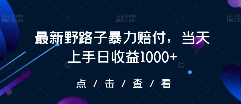 最新野路子暴力赔付，当天上手日收益1000+【仅揭秘】-天天项目库