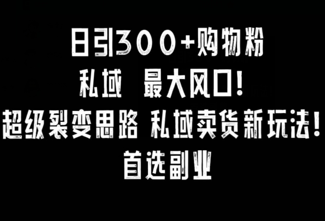 日引300+购物粉，超级裂变思路，私域卖货新玩法，小红书首选副业【揭秘】-天天项目库