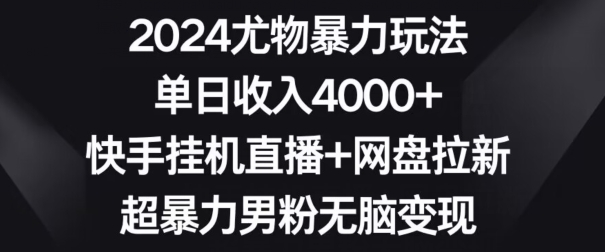 2024尤物暴力玩法，单日收入4000+，快手挂机直播+网盘拉新，超暴力男粉无脑变现【揭秘】-天天项目库