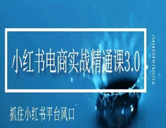 小红书电商实战精通课3.0，抓住小红书平台的风口，不错过有一个赚钱的机会-天天项目库