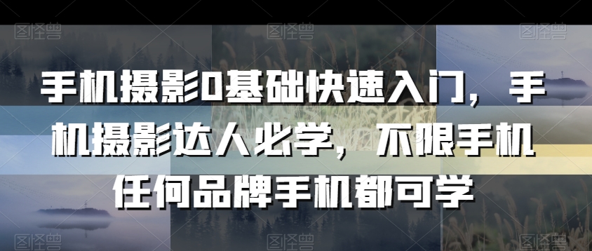 手机摄影0基础快速入门，手机摄影达人必学，不限手机任何品牌手机都可学-天天项目库