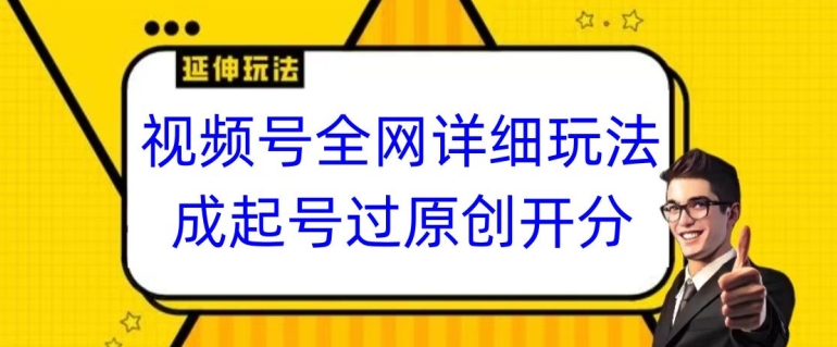 视频号全网最详细玩法，起号过原创开分成，单号日入300+【揭秘】-天天项目库