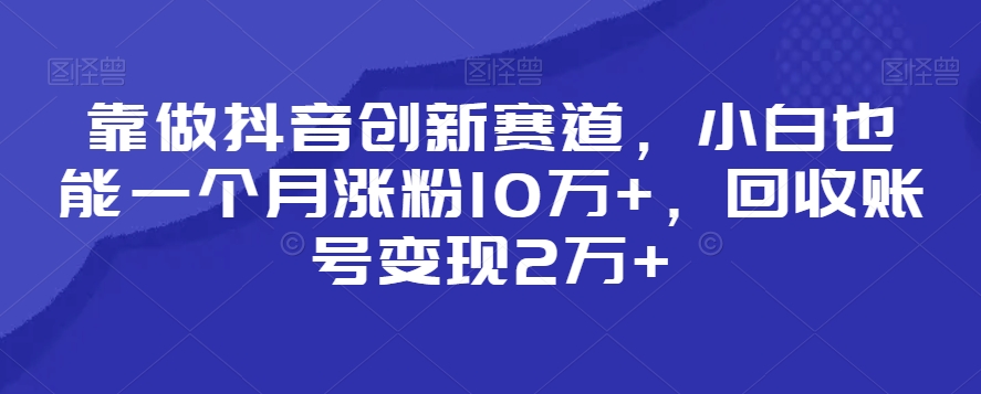 靠做抖音创新赛道，小白也能一个月涨粉10万+，回收账号变现2万+【揭秘】-天天项目库