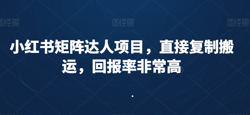 小红书矩阵达人项目，直接复制搬运，回报率非常高-天天项目库