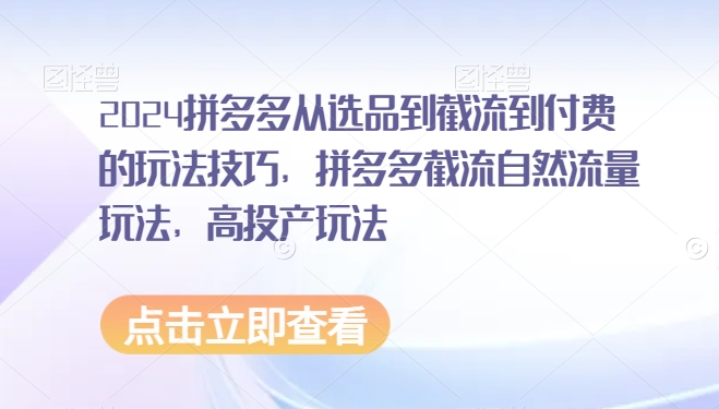 2024拼多多从选品到截流到付费的玩法技巧，拼多多截流自然流量玩法，高投产玩法-天天项目库