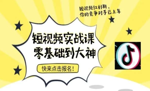 短视频零基础落地实操训练营，短视频实战课零基础到大神-天天项目库