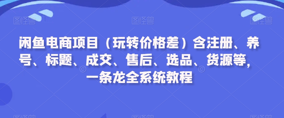 闲鱼电商项目（玩转价格差）含注册、养号、标题、成交、售后、选品、货源等，一条龙全系统教程-天天项目库