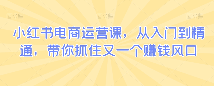 小红书电商运营课，从入门到精通，带你抓住又一个赚钱风口-天天项目库