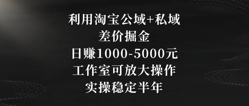 利用淘宝公域+私域差价掘金，日赚1000-5000元，工作室可放大操作，实操稳定半年【揭秘】-天天项目库