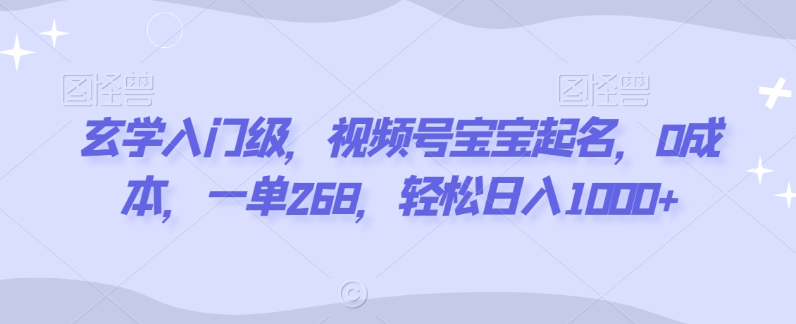 玄学入门级，视频号宝宝起名，0成本，一单268，轻松日入1000+【揭秘】-天天项目库