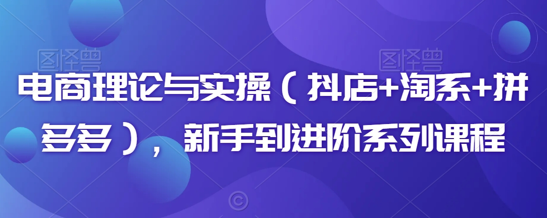 电商理论与实操（抖店+淘系+拼多多），新手到进阶系列课程-天天项目库