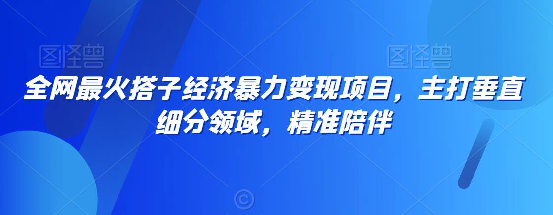 全网最火搭子经济暴力变现项目，主打垂直细分领域，精准陪伴【揭秘】-天天项目库