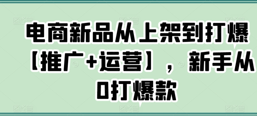 电商新品从上架到打爆【推广+运营】，新手从0打爆款-天天项目库