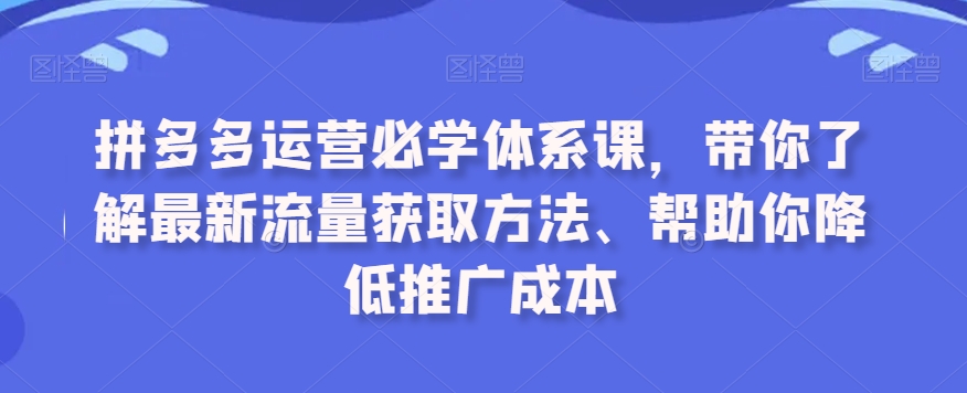 拼多多运营必学体系课，带你了解最新流量获取方法、帮助你降低推广成本-天天项目库