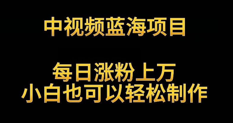 中视频蓝海项目，解读英雄人物生平，每日涨粉上万，小白也可以轻松制作，月入过万不是梦【揭秘】-天天项目库