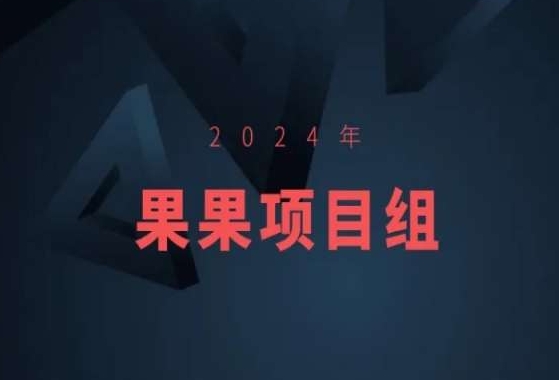 2024年果果项目组项目合集-果果最新项目-天天项目库