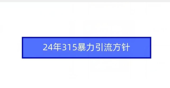 24年315暴力引流方针-天天项目库