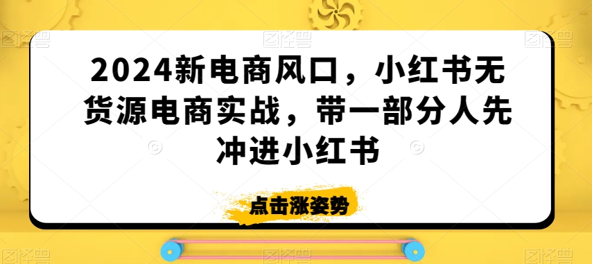 2024新电商风口，小红书无货源电商实战，带一部分人先冲进小红书-天天项目库