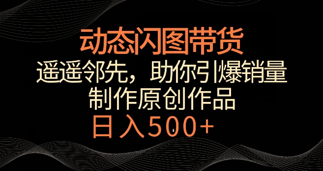 动态闪图带货，遥遥领先，冷门玩法，助你轻松引爆销量，日赚500+【揭秘】-天天项目库