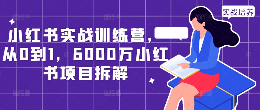 小红书实战训练营，从0到1，6000万小红书项目拆解-天天项目库