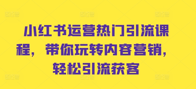 小红书运营热门引流课程，带你玩转内容营销，轻松引流获客-天天项目库