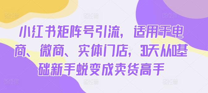 小红书矩阵号引流，适用于电商、微商、实体门店，30天从0基础新手蜕变成卖货高手-天天项目库