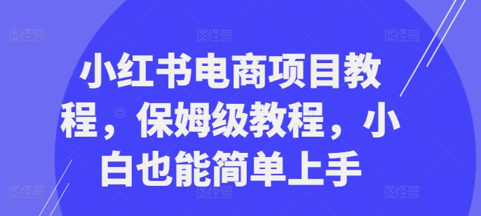 小红书电商项目教程，保姆级教程，小白也能简单上手-天天项目库