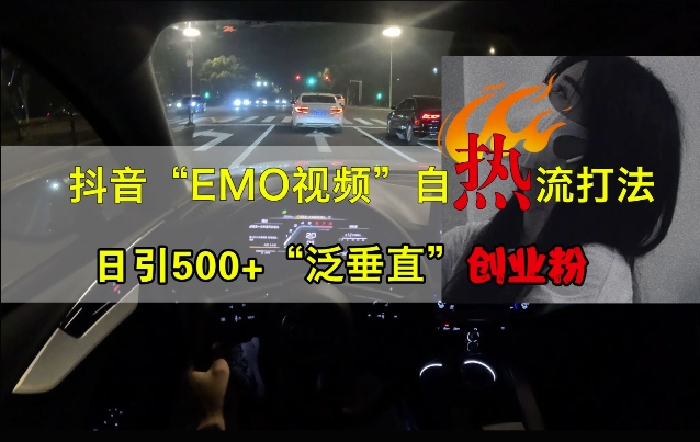 抖音EMO视频自热打法，日引500+“泛垂直”创业粉-天天项目库