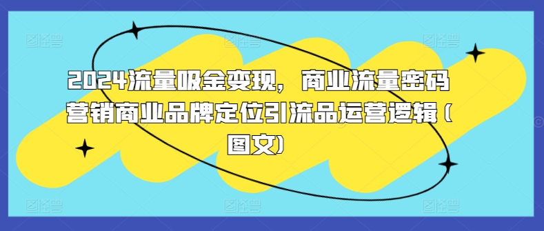 2024流量吸金变现，商业流量密码营销商业品牌定位引流品运营逻辑(图文)-天天项目库