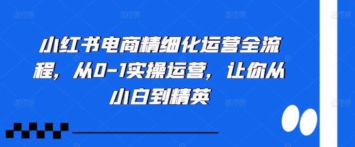 小红书电商精细化运营全流程，从0-1实操运营，让你从小白到精英-天天项目库