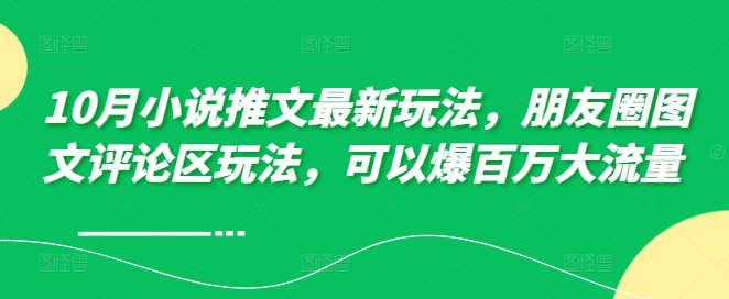 10月小说推文最新玩法，朋友圈图文评论区玩法，可以爆百万大流量 -天天项目库