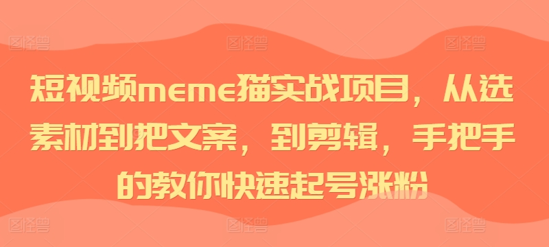 短视频meme猫实战项目，从选素材到把文案，到剪辑，手把手的教你快速起号涨粉-天天项目库