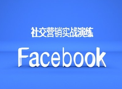 Facebook社交营销实战演练，外贸人绝对不能错过的营销推广平台-天天项目库