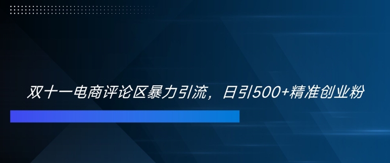 双十一电商评论区暴力引流，日引500+精准创业粉【揭秘】-天天项目库