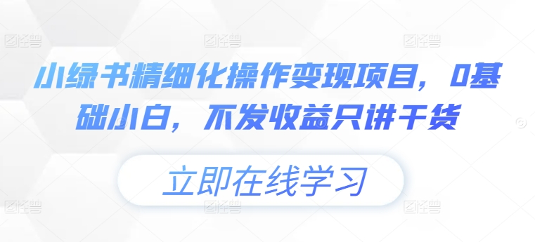 小绿书精细化操作变现项目，0基础小白，不发收益只讲干货-天天项目库