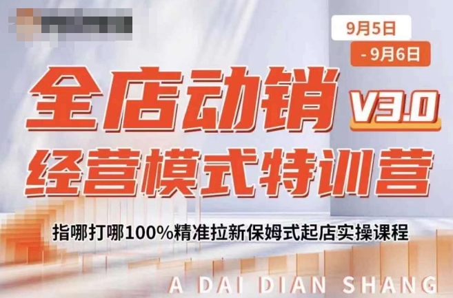 全店动销经营模式特训营，指哪打哪100%精准拉新保姆式起店实操课程-天天项目库