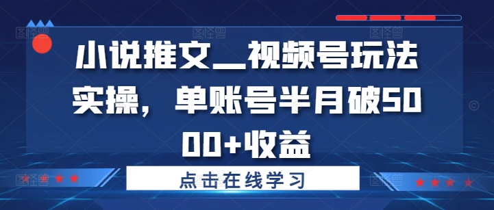 小说推文—视频号玩法实操，单账号半月破5000+收益-天天项目库