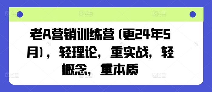 老A营销训练营(更24年10月)，轻理论，重实战，轻概念，重本质-天天项目库