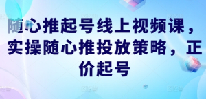 随心推起号线上视频课，实操随心推投放策略，正价起号