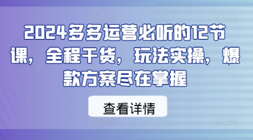 2024多多运营必听的12节课，全程干货，玩法实操，爆款方案-天天项目库