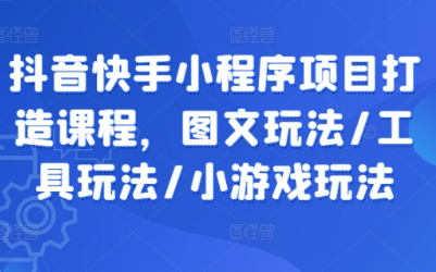 抖音快手小程序项目打造课程，图文玩法/工具玩法/小游戏玩法-天天项目库