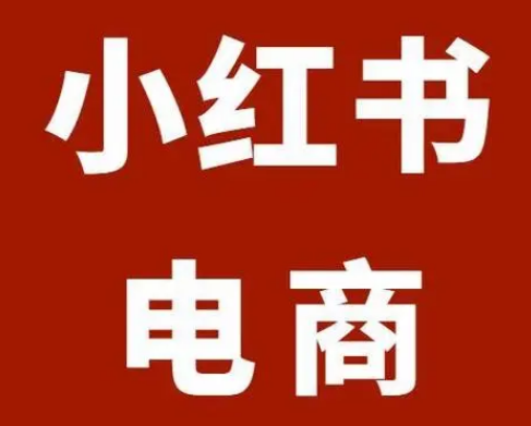 小红书电商进阶版，从新人进阶小红薯电商大佬，全方位玩透红薯电商-天天项目库