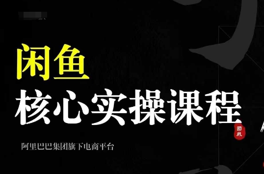 2024闲鱼核心实操课程，从养号、选品、发布、销售，教你做一个出单的闲鱼号-天天项目库