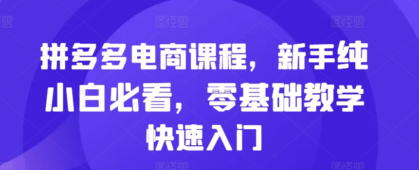 拼多多电商课程，新手纯小白必看，零基础教学快速入门-天天项目库