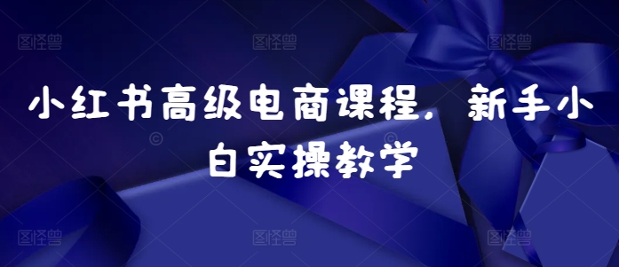 小红书高级电商课程，新手小白实操教学-天天项目库