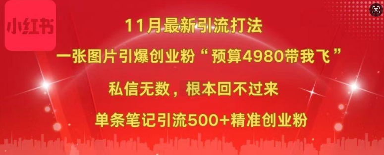 小红书11月最新图片打粉，一张图片引爆创业粉，“预算4980带我飞”，单条引流500+精准创业粉-天天项目库